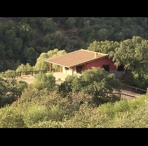 Cigarra Sierra * Córdoba